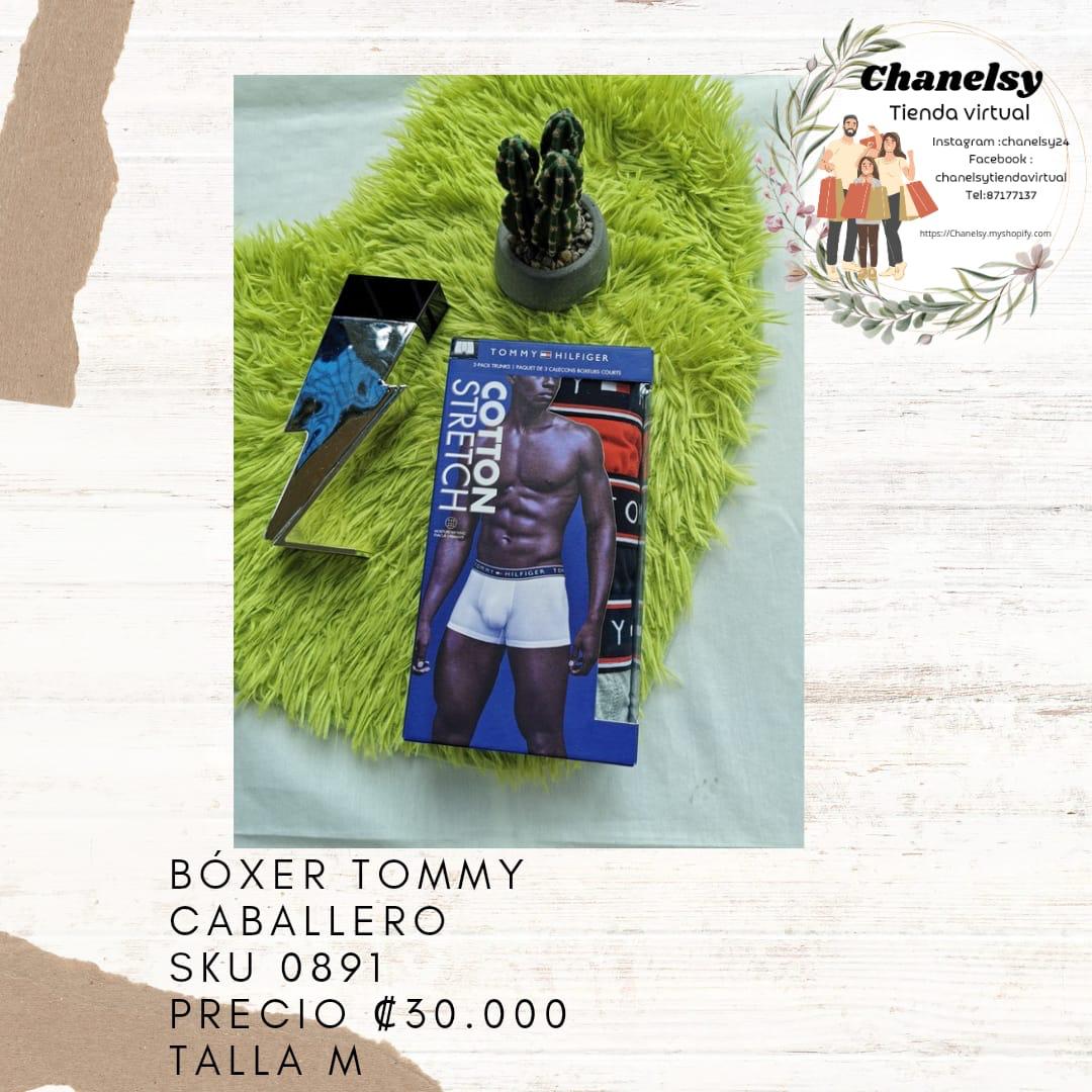 Boxer Tommy