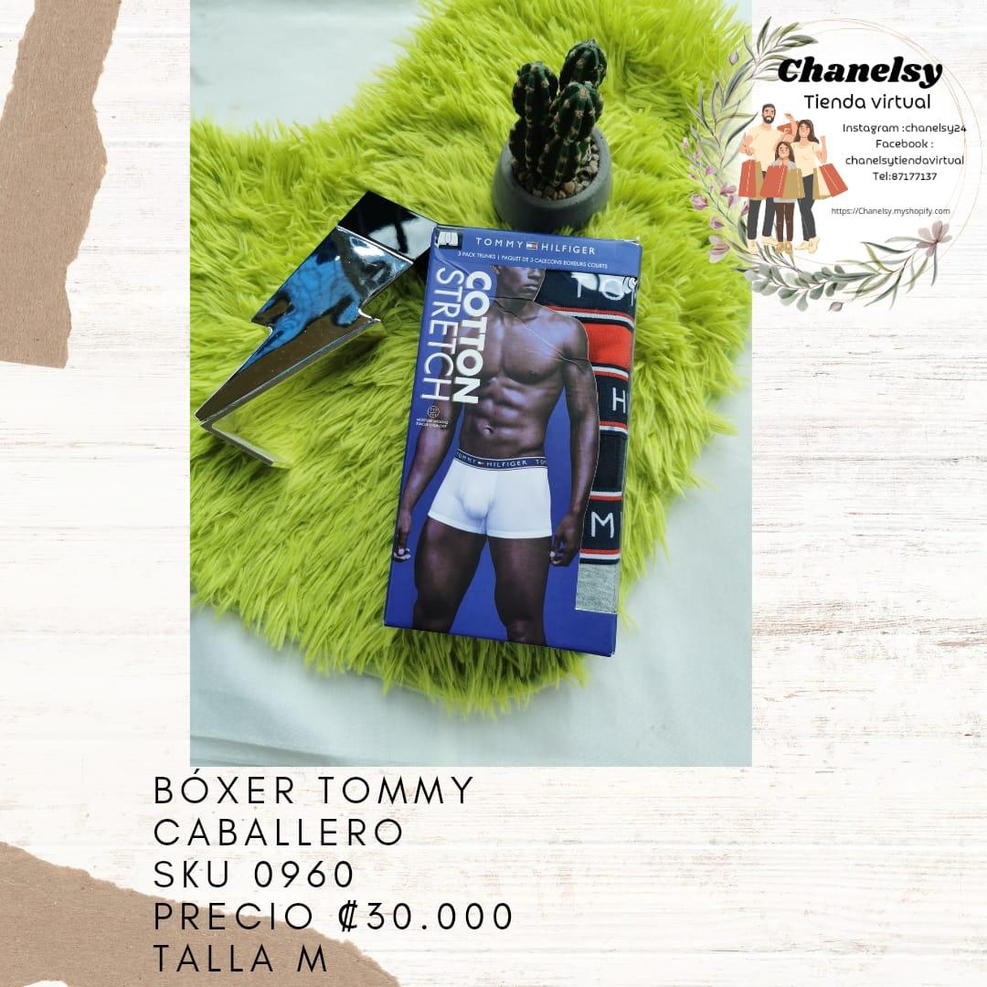 Boxer Tommy