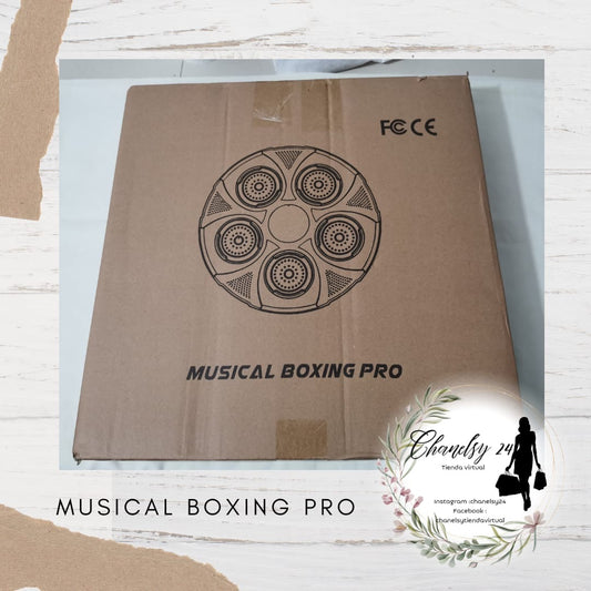 Musical  Boxing Pro