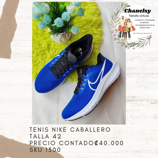 Tenis Nike Caballero