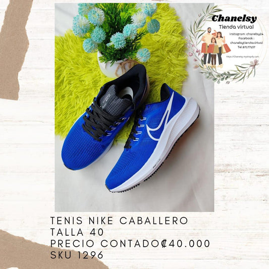 Tenis Nike Caballero